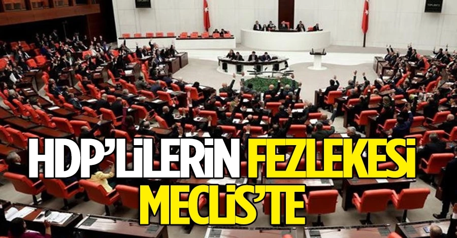 HDP