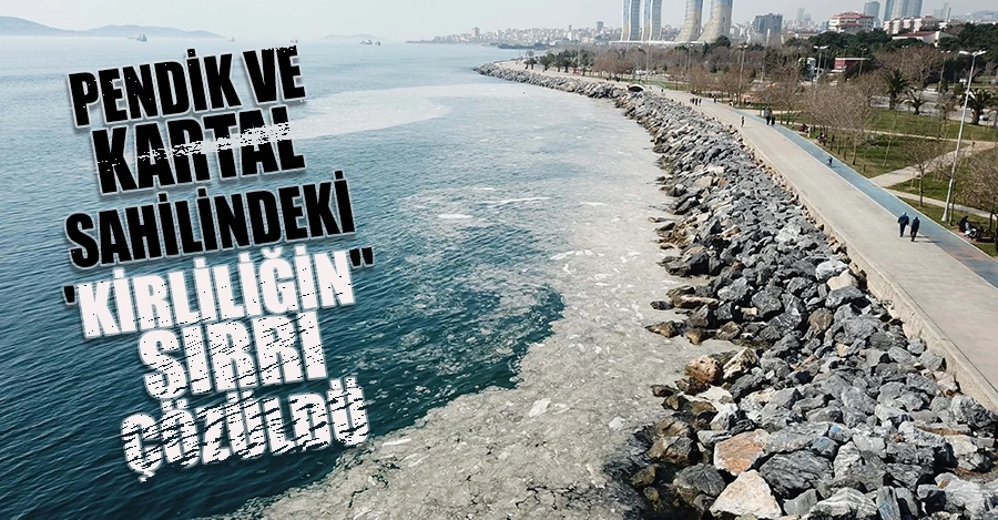Pendik ve Kartal sahilindeki 