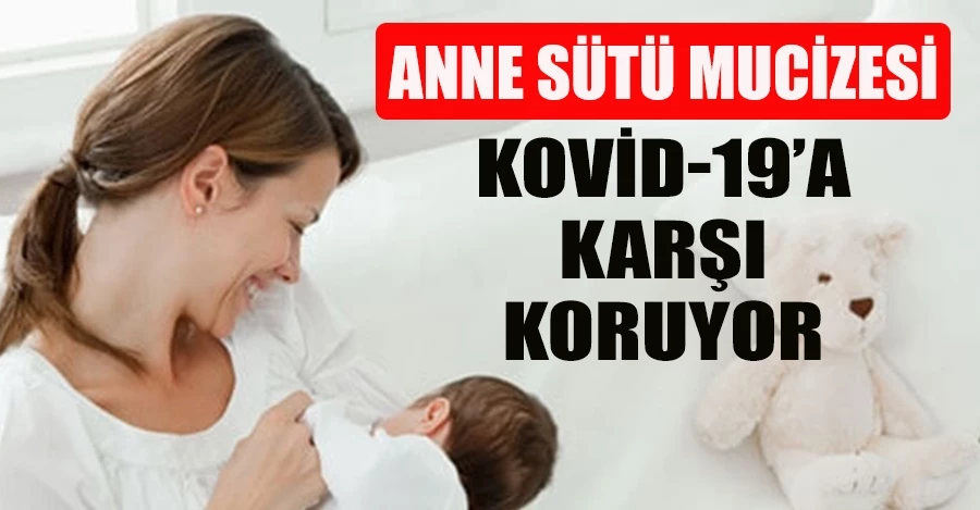 Anne sütü bebekleri Kovid-19’a karşı koruyor