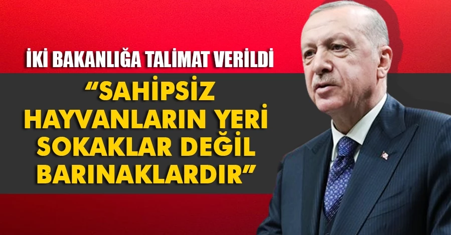 Cumhurbaşkanı Erdoğan: 