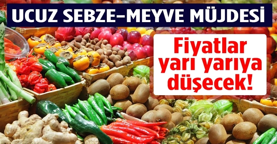 Ucuz sebze-meyve müjdesi! Fiyatlar yarı yarıya düşecek