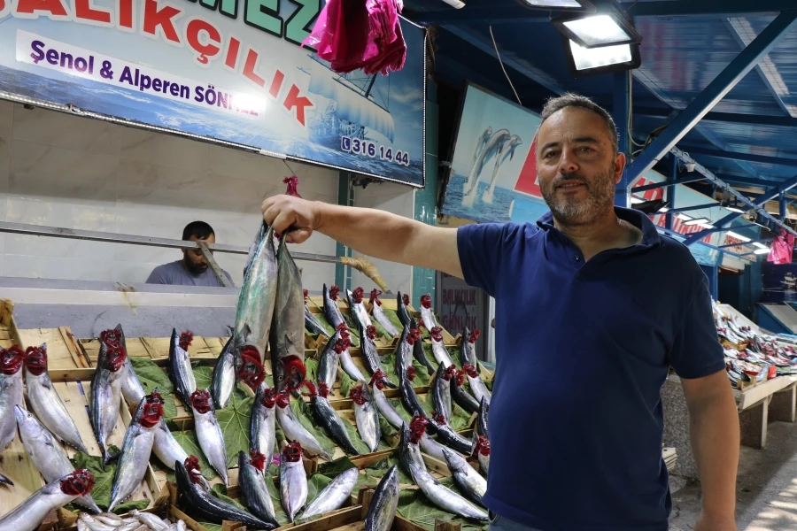 Balık bollaşınca fiyatlar 50 TL’ye geriledi 