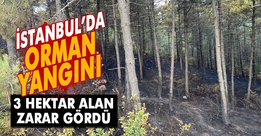 Maltepe’de çıkan orman yangınında 3 hektar alan zarar gördü
