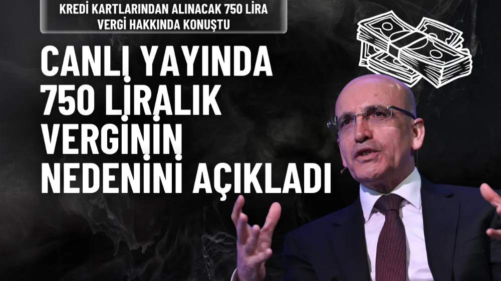 Mehmet Şimşek: Zor bir coğrafyadayız, caydırıcılık gücünü artırmalıyız