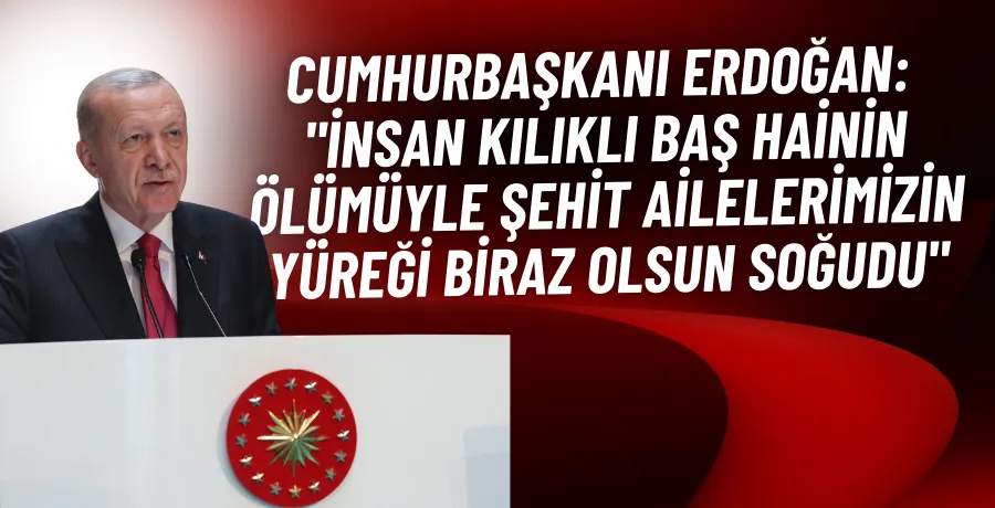 Cumhurbaşkanı Erdoğan, FETÖ elebaşı Gülen