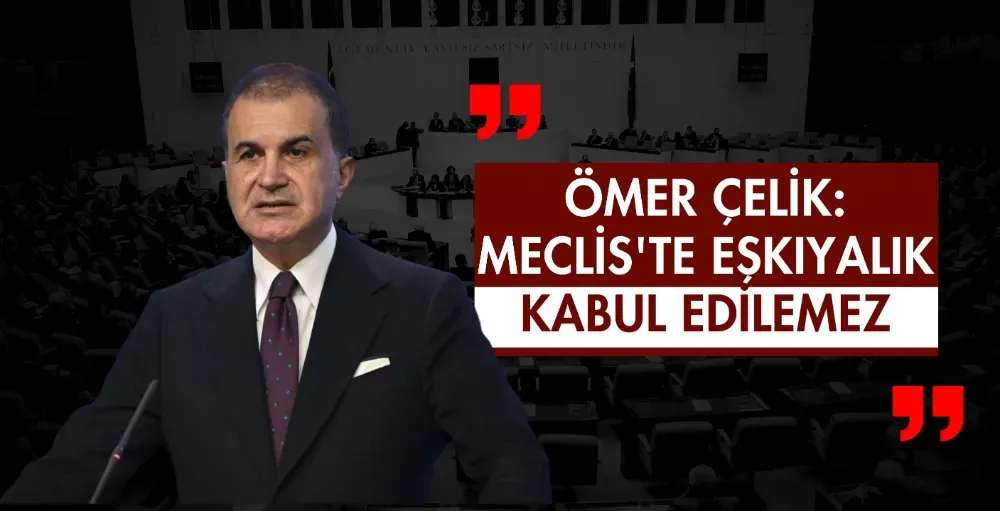 Ömer Çelik: Meclis