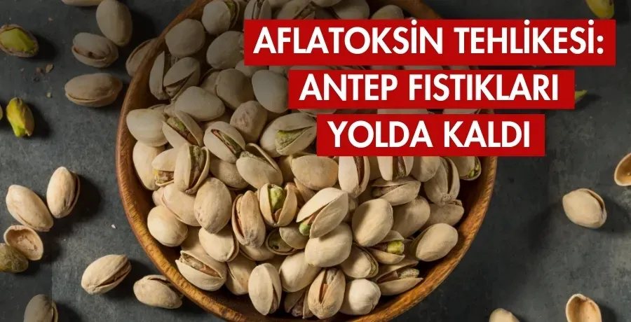 Aflatoksin Tehlikesi: Antep fıstıkları yolda kaldı