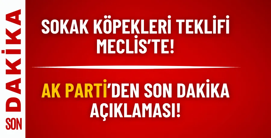 Sokak köpekleri teklifi Meclis