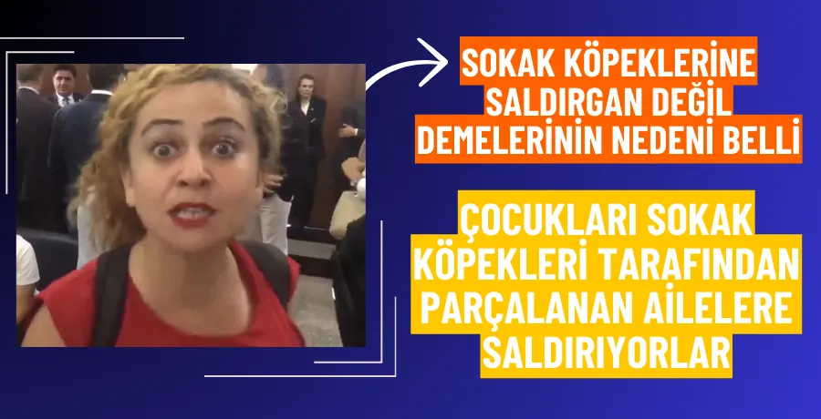 Başıboş köpeklerle ilgili düzenleme komisyon toplantıları esnasında yasa karşıtları saldırganlaştı!