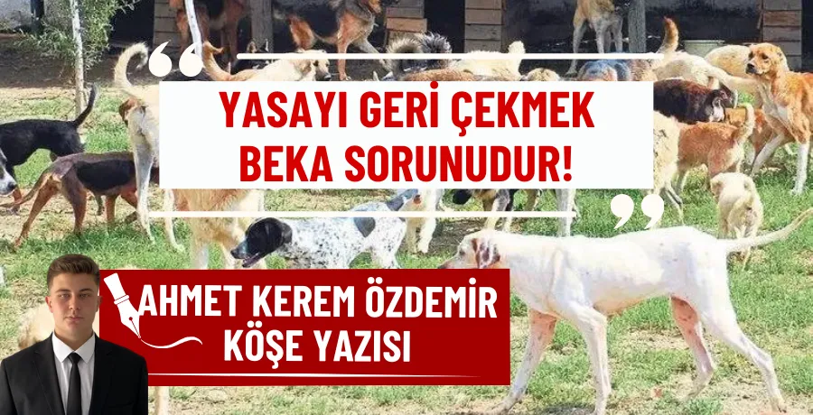 Yasayı geri çekmek beka sorunudur!