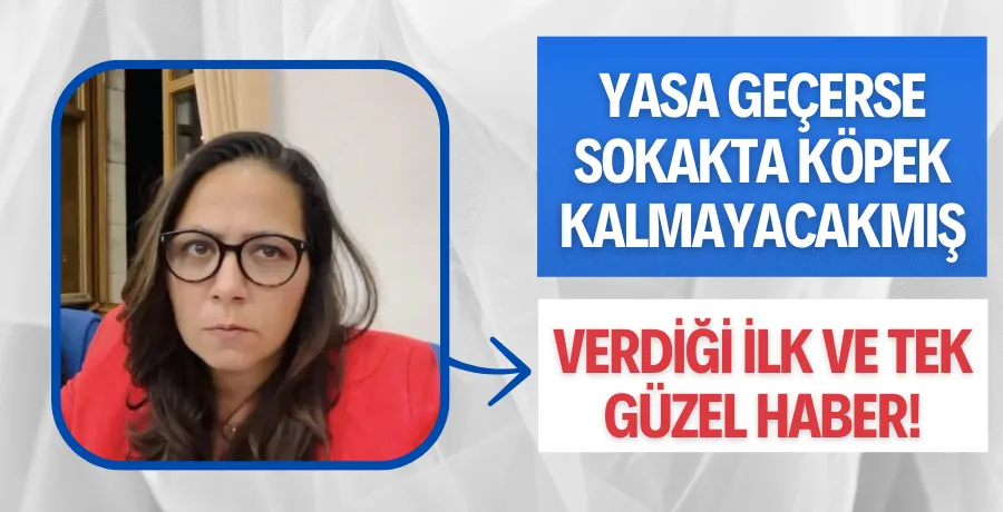 Sera Kadıgil