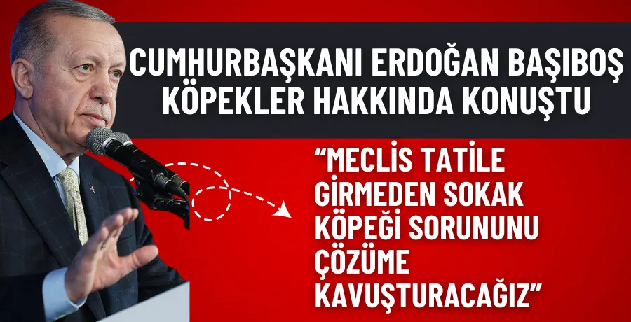 Cumhurbaşkanı Erdoğan