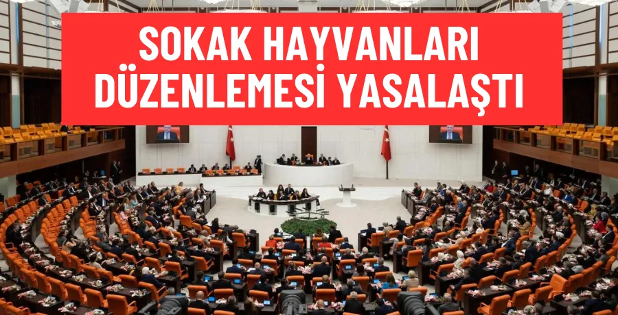 Başıboş sokak hayvanları düzenlemesi Meclis