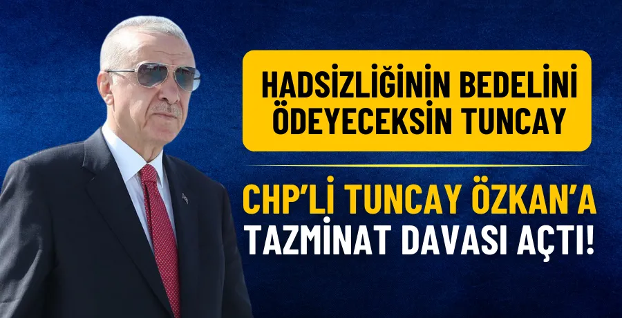 Cumhurbaşkanı Erdoğan, CHP