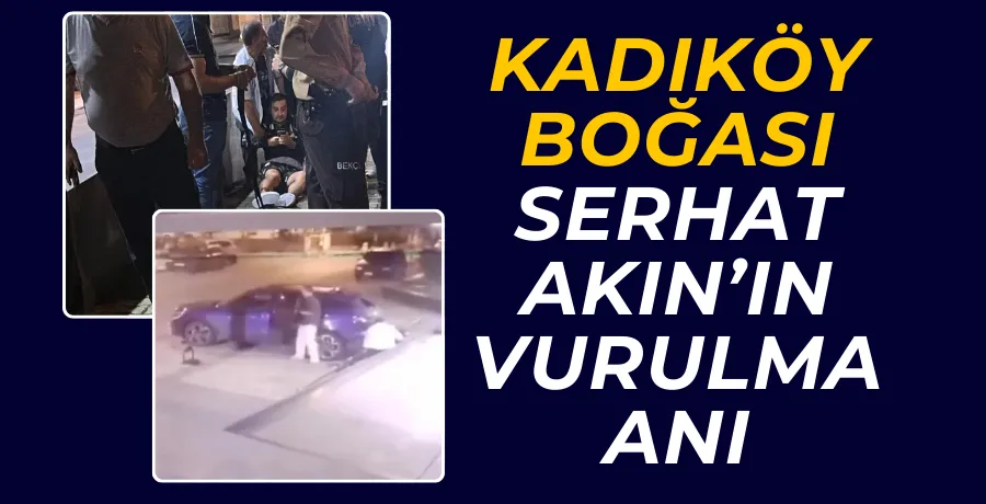 Kadıköy Boğası Serhat Akın