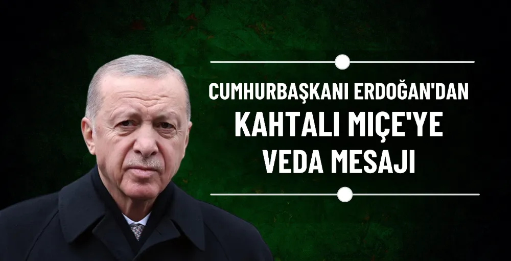 Cumhurbaşkanı Erdoğan