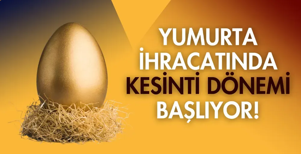 Yumurta ihracatında kesinti dönemi başlıyor!
